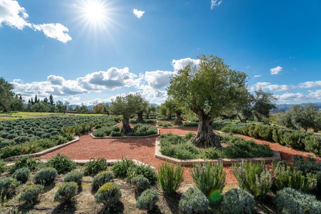 Cortijo LA Organic Ronda